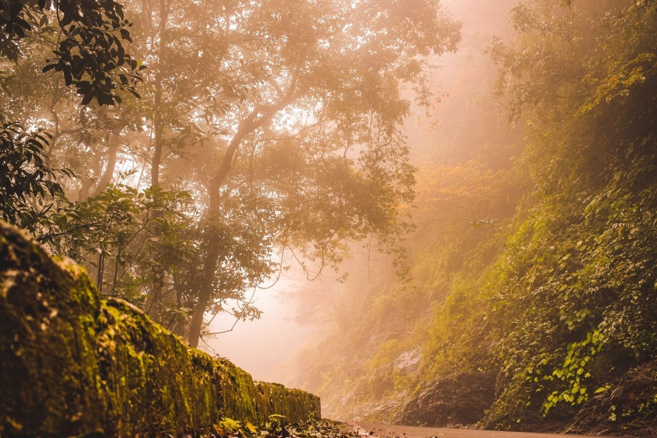 Agumbe, Karnataka, India Tourism