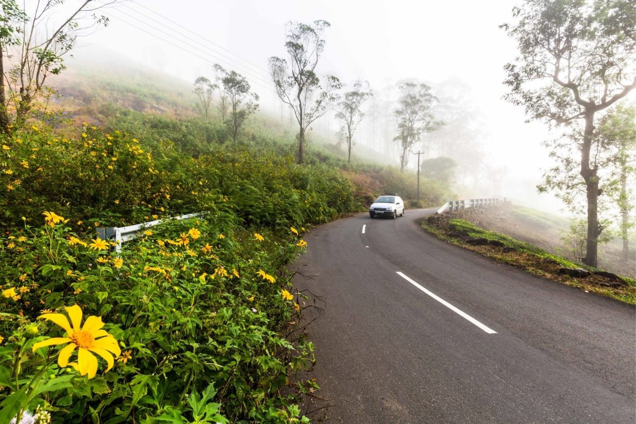 Anaimalai Hills, Tamilnadu, Hill Station in South India