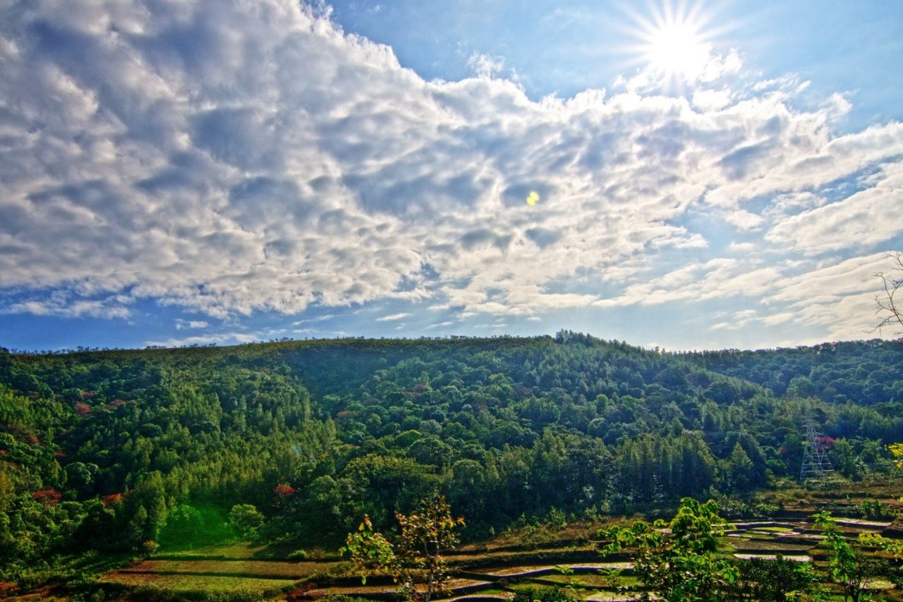 Ananthagiri Hills, Andhra Pradesh, Hill Station in South India