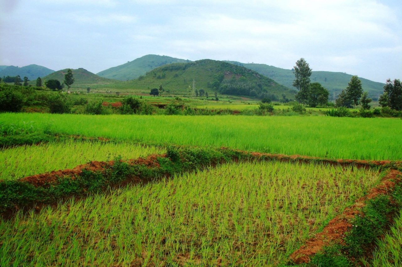 Araku Valley, Andhra Pradesh, India Tourism