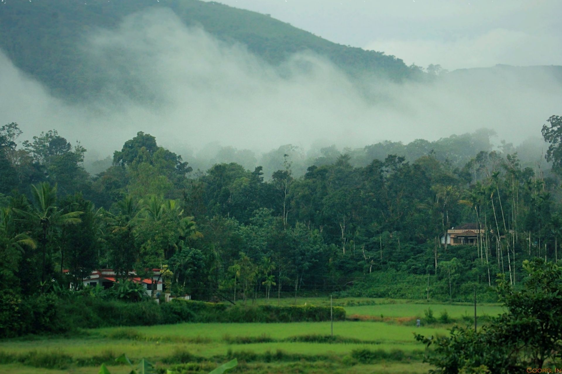 Coorg / Madikeri, Karnataka, India Tourism