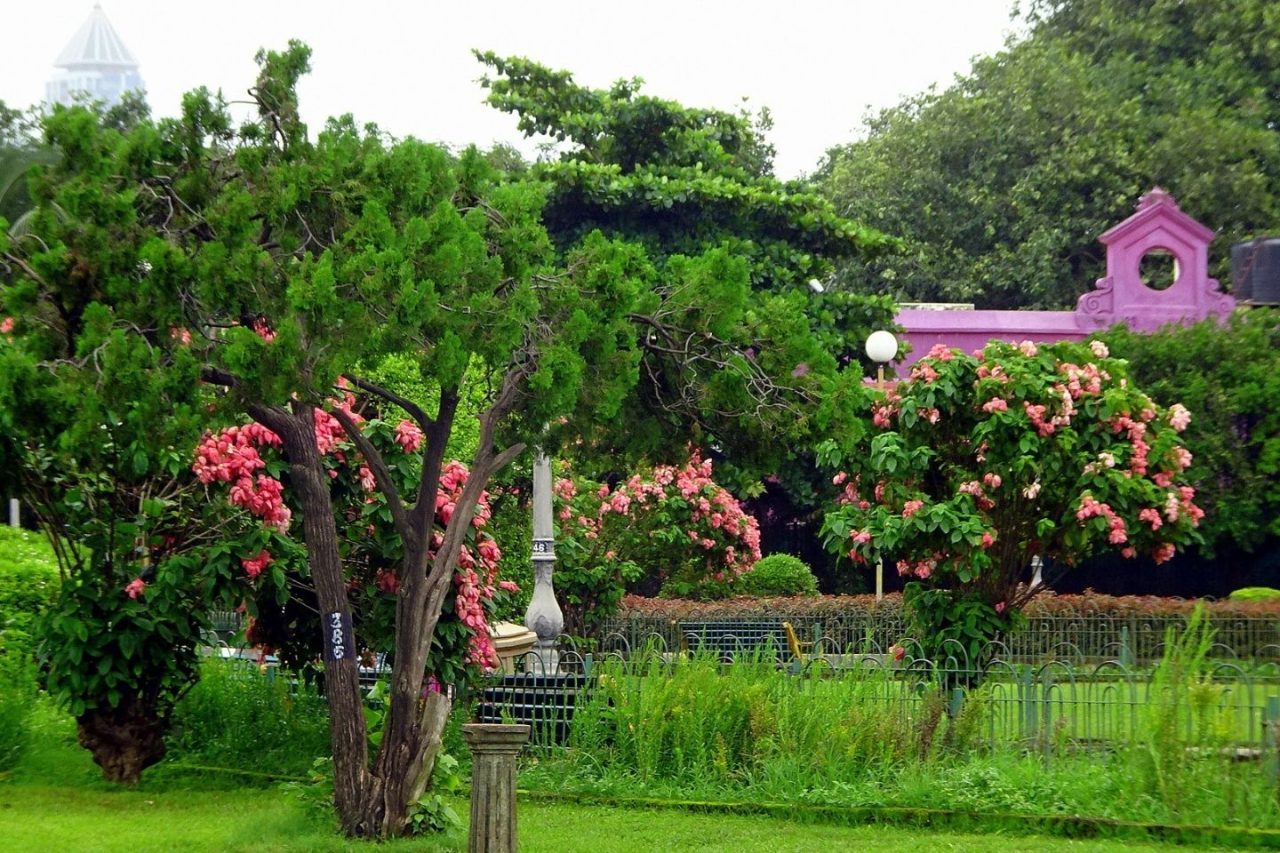 Hanging Gardens Mumbai Tourism Places to Visit