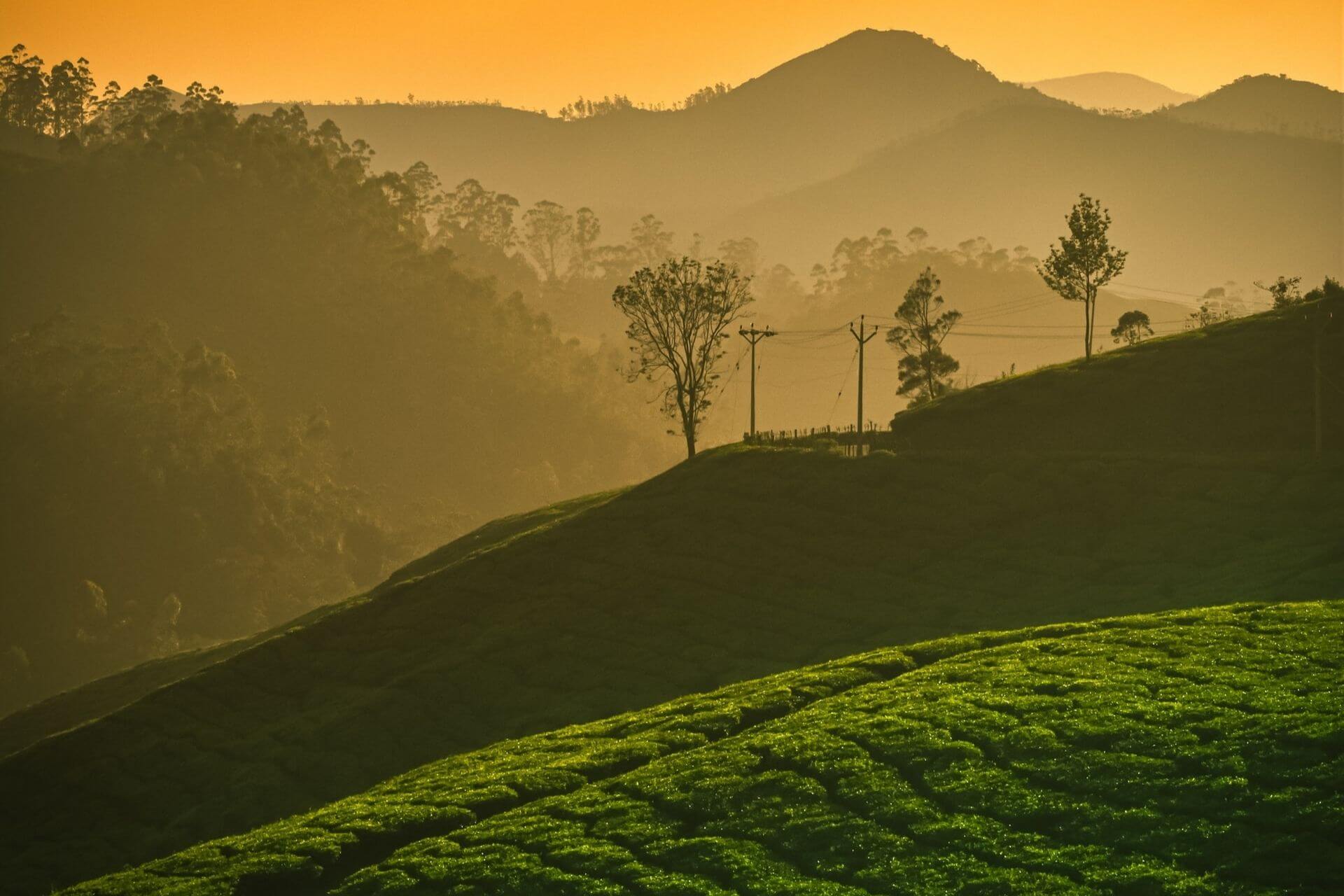 Best Hill Stations to visit in South India