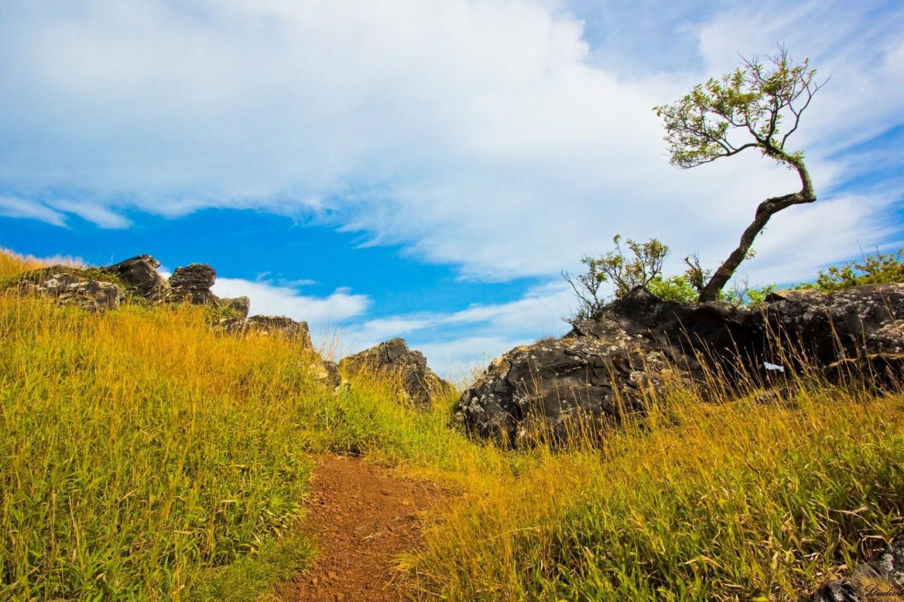 Kemmanagudi, Karnataka, India Tourism