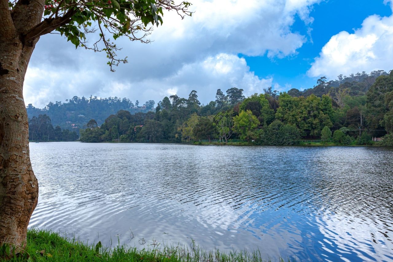 Kodai Lake - Best Place to Visit in Kodaikanal