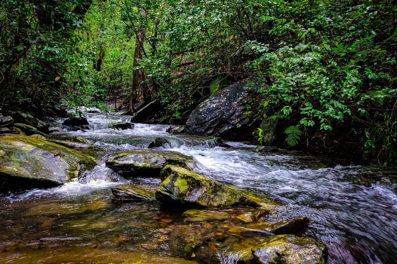 Kudremukh, Karnataka, India Tourism