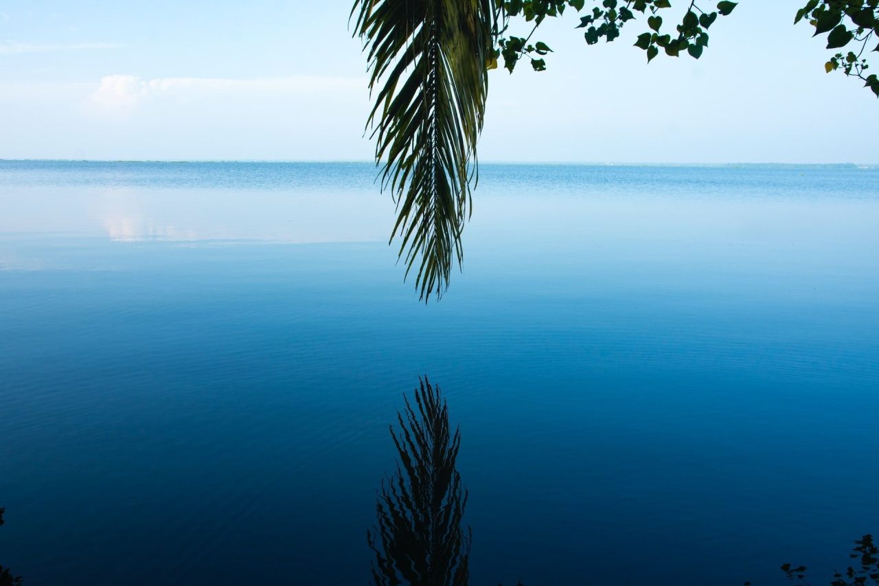 Kumarakom, Kerala, India Tourism