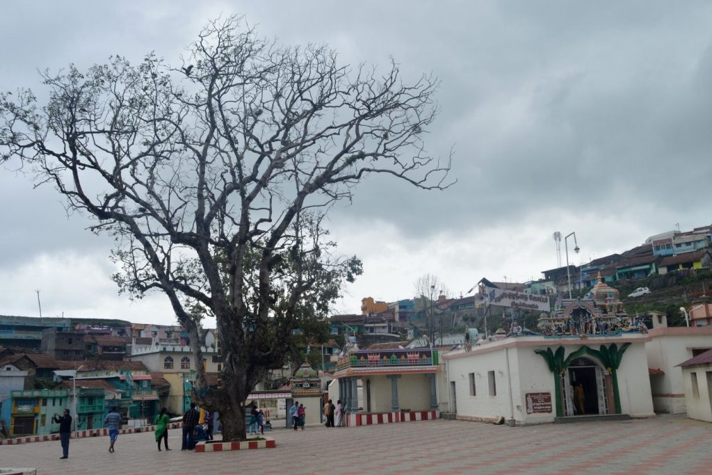 Kuzhanthai Velappar Temple - Kodaikanal Best Tourist Spot