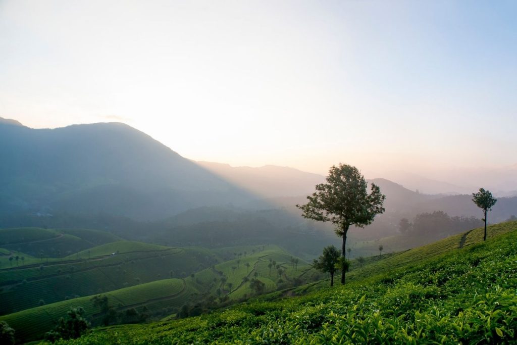 Munnar Kerala - Best Honeymoon Destination in South India