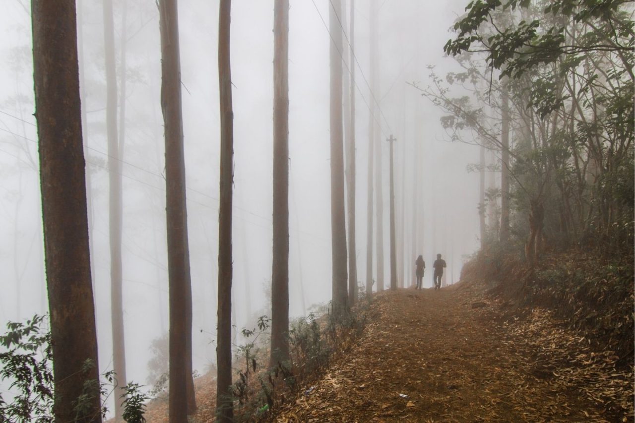 On the Way to Dolphin's Nose - Kodaikanal Tourism Point