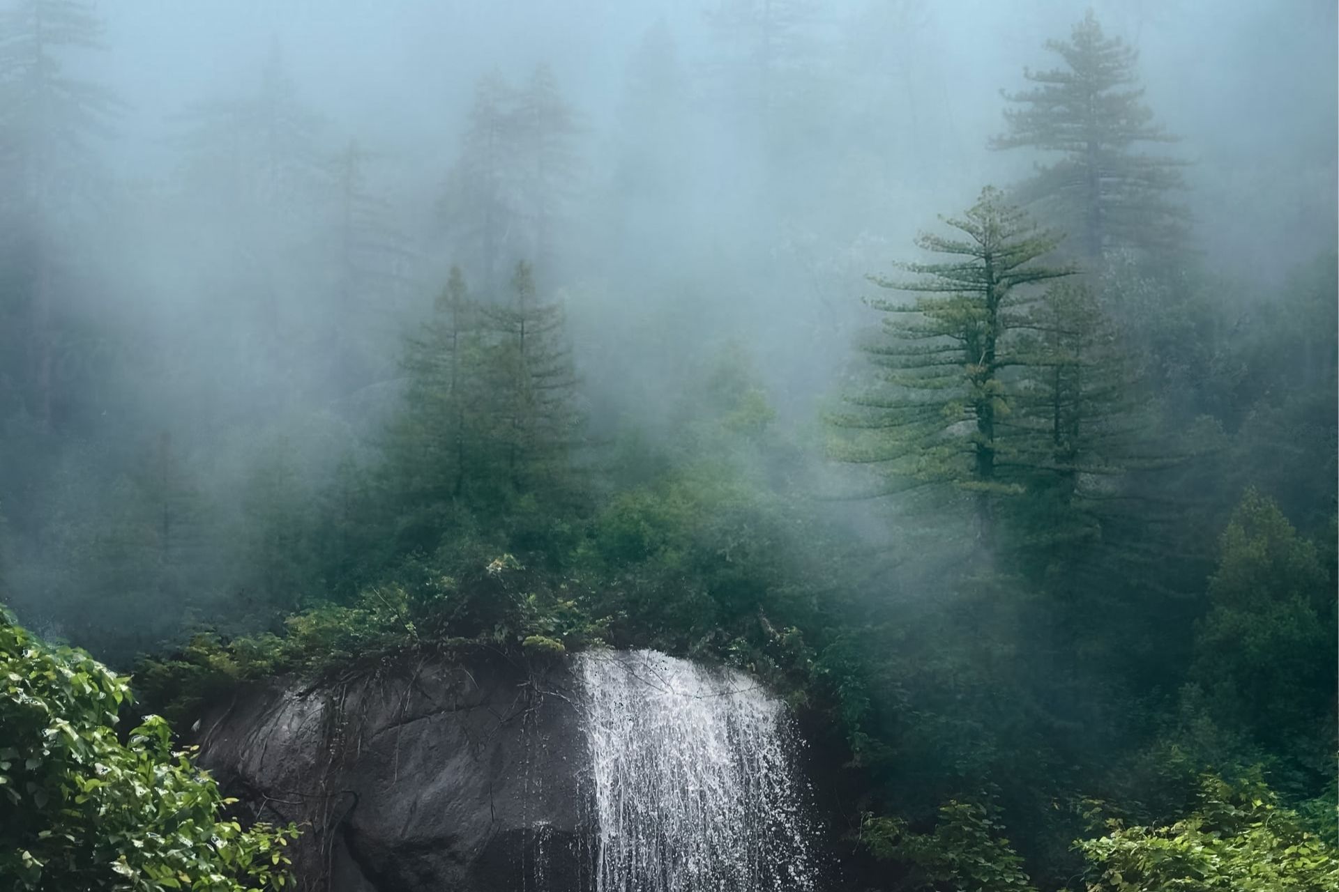 Ooty, Tamil Nadu, India Tourism