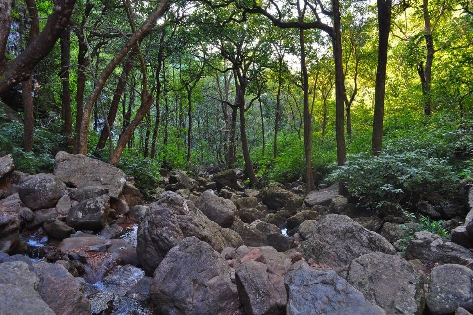 Pachmarhi, Madhya Pradesh, India