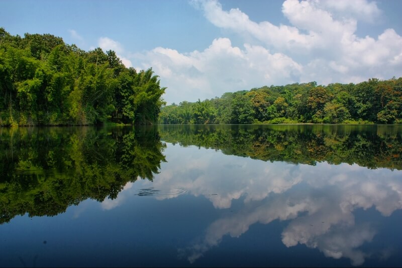 Parambikulam Wildlife Sanctuary, Kerala, India Tourism