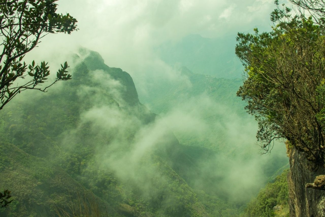 Silent Valley - Kodaikanal Top Tourist Place to Visit