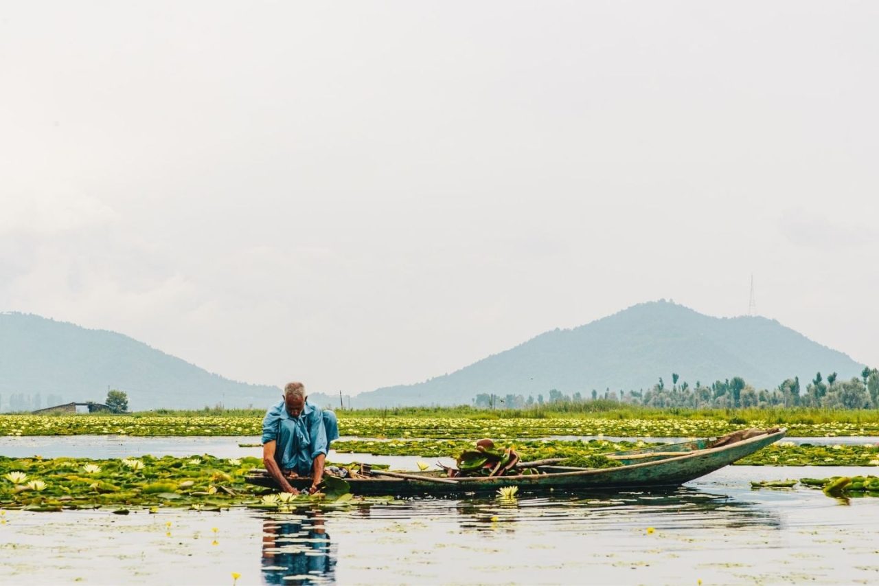 Srinagar, Jammu and Kashmir, Popular Hill Station in India