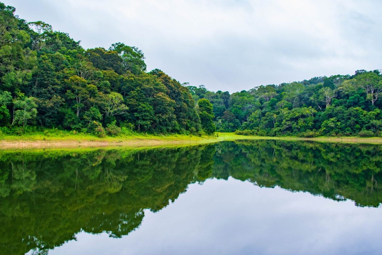 Thekkady, Kerala, India Tourism