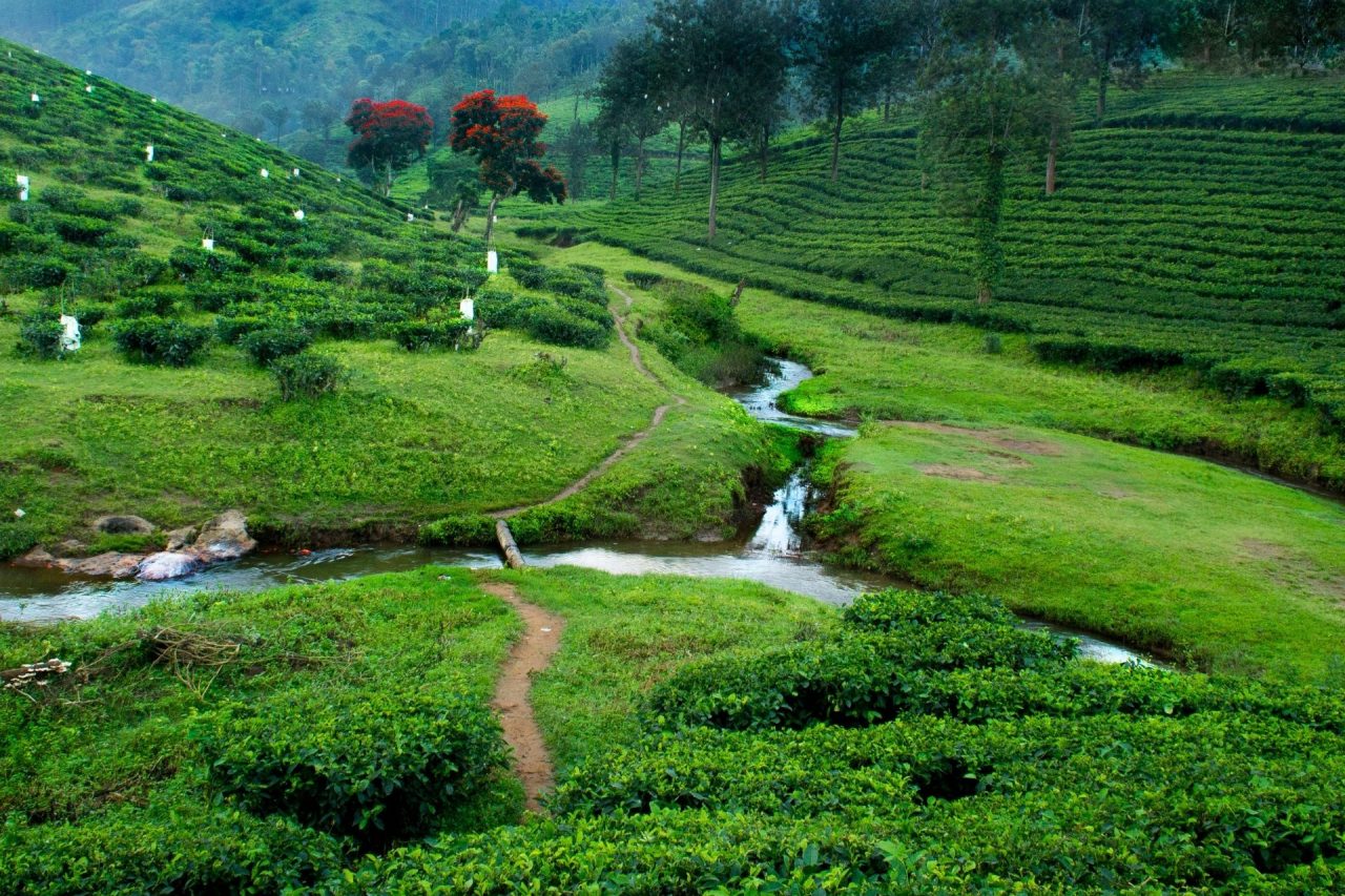 Thekkady, Kerala, Hill Station in South India