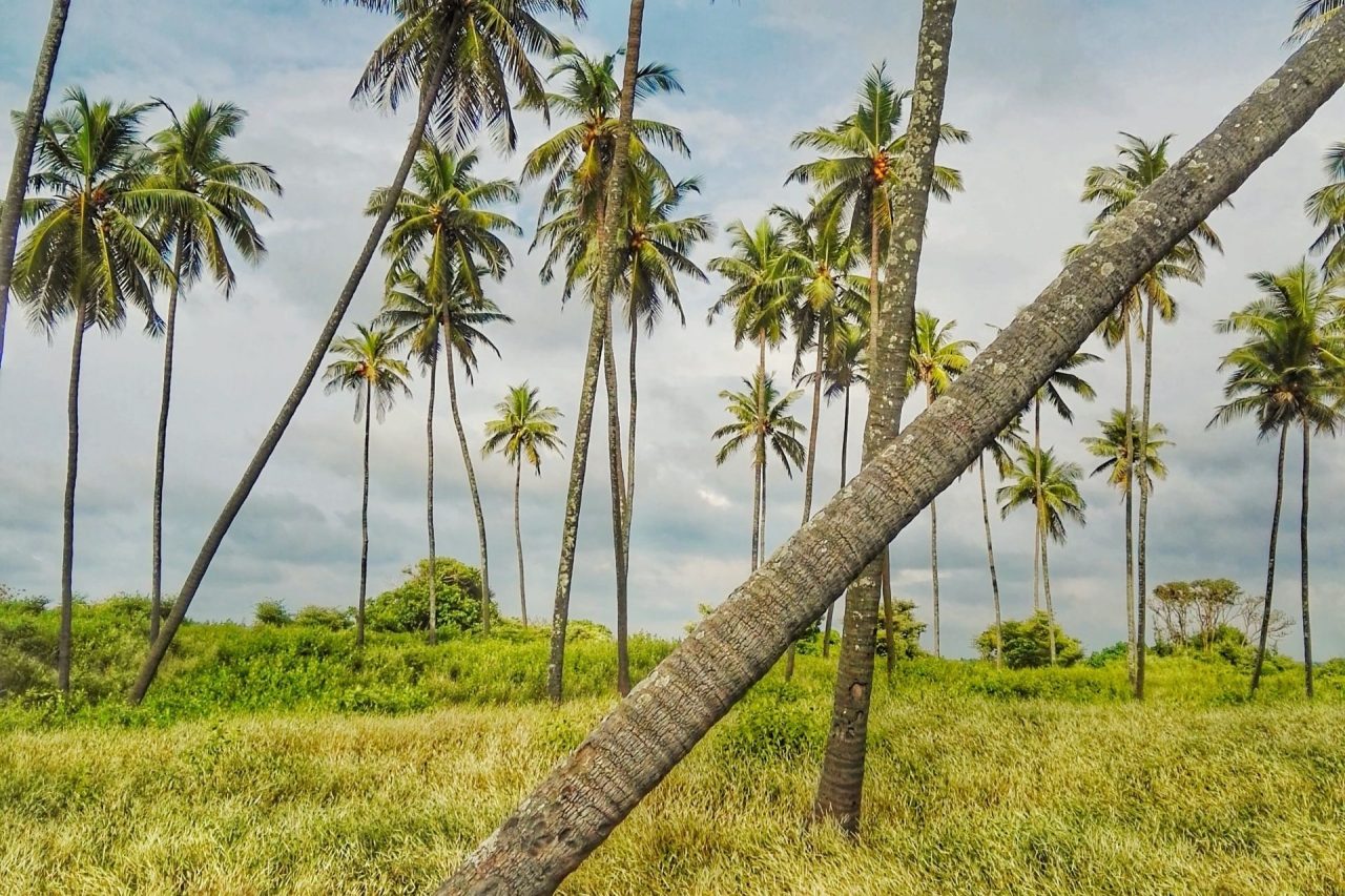 Udupi, Karnataka, India Tourism