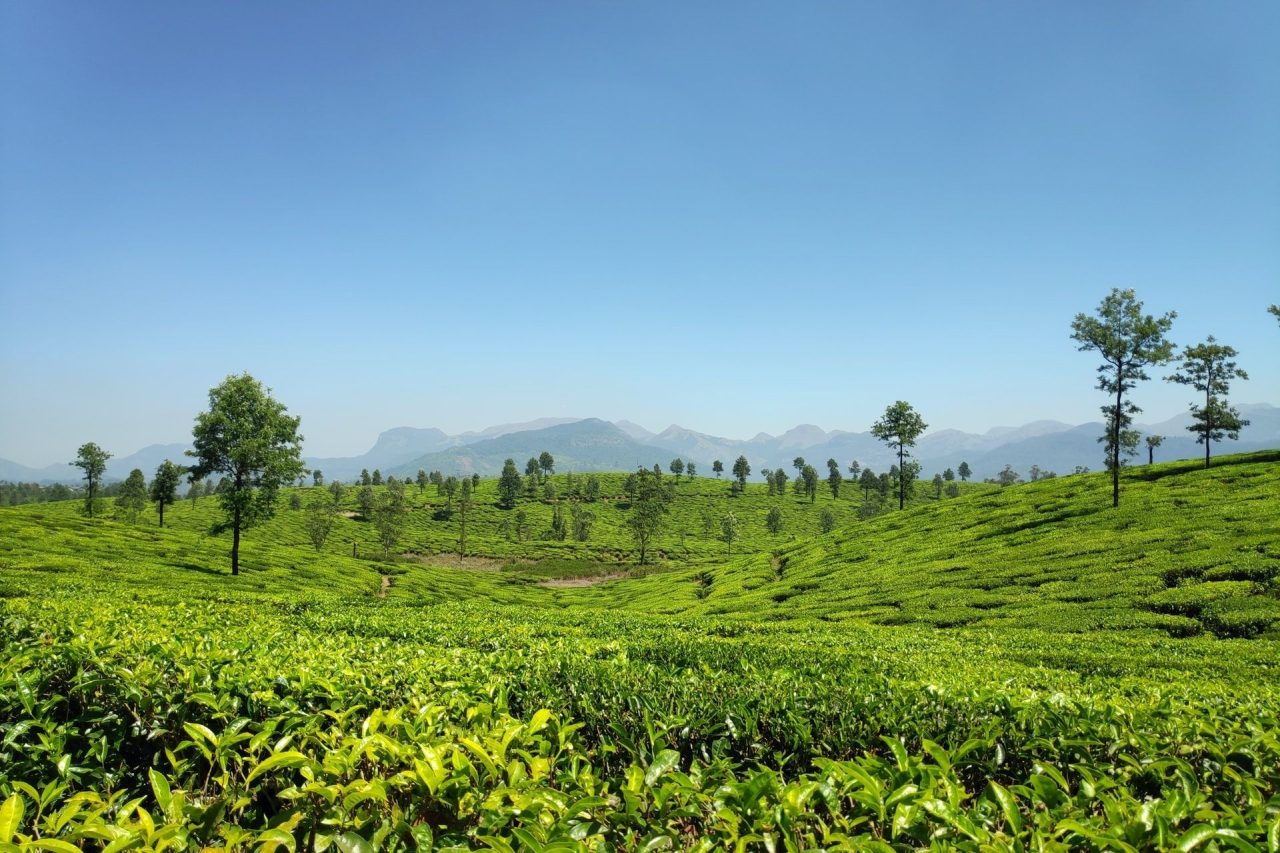 Valparai, Kerala, India Tourism