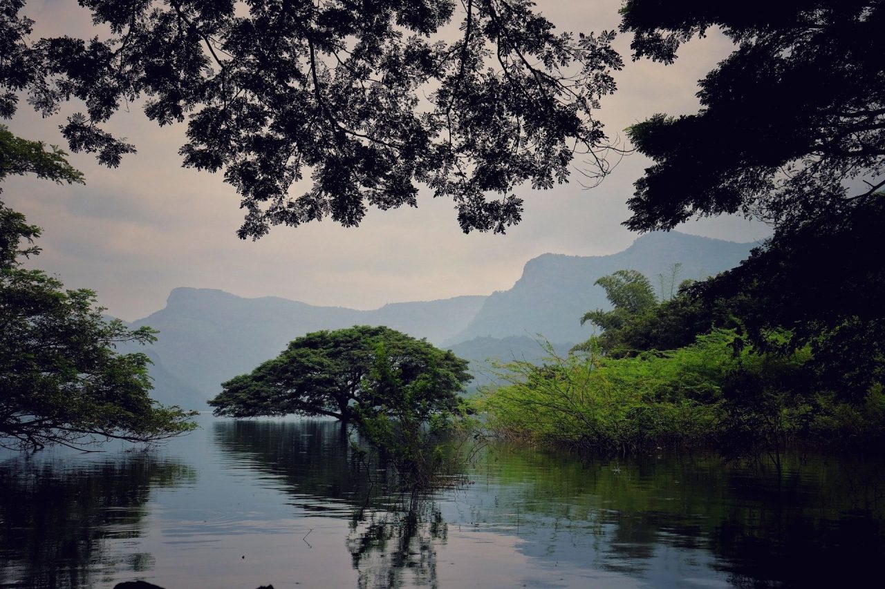 Valparai, Kerala, Hill Station in South India