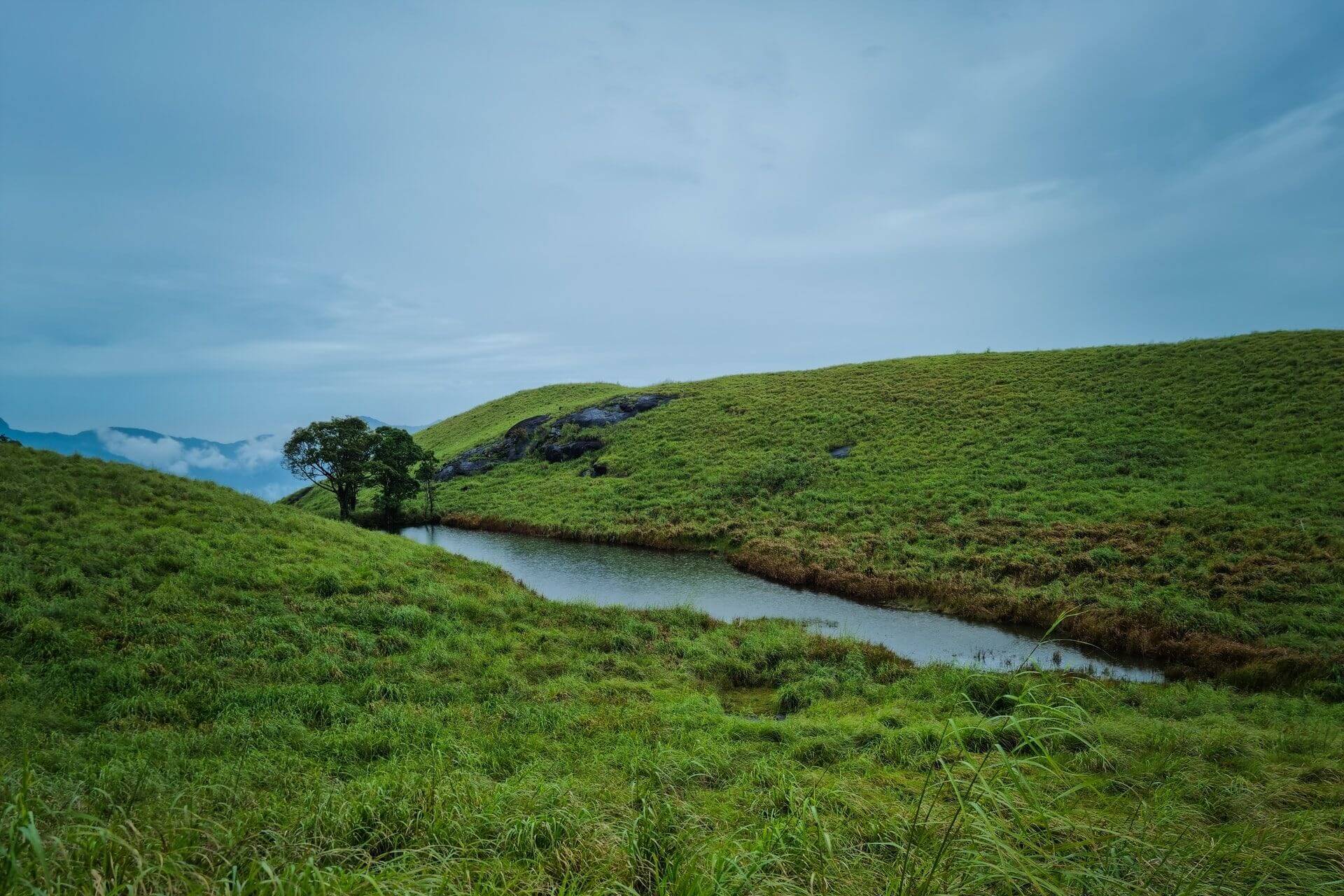 Wayanad - Kerala, Hill Stations in South India