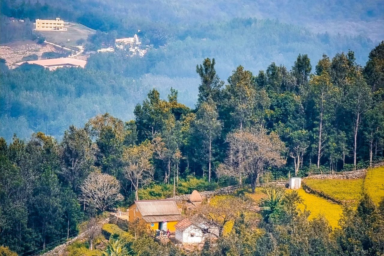 Yercaud, Tamilnadu, India Tourism